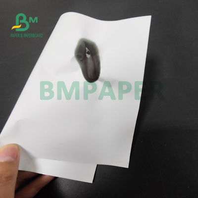 120gsm Thermal Coating Synthetic Paper For Medical Wristband 20cm x 500m