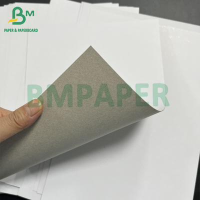 Recyclable 230 250 GSM Coated White Claycoat Duplex Paper Roll