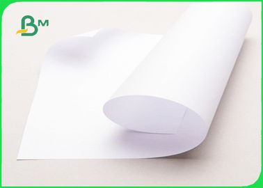 Eco Friendly Food Grade Uncoated Paper 170 - 210 Gsm Cup Stock Paper