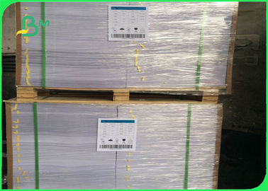 70gsm / 80gsm / 100gsm Bond Paper In Jumbo Roll Uncoated Book Paper