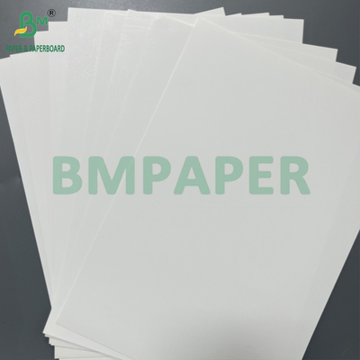 One Side Two Sides Coated White 120 180 Micron Thermal Synthetic Paper Roll