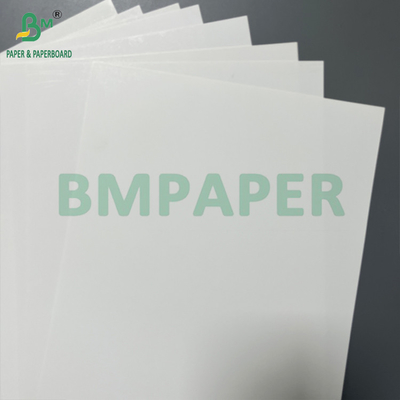One Side Two Sides Coated White 120 180 Micron Thermal Synthetic Paper Roll