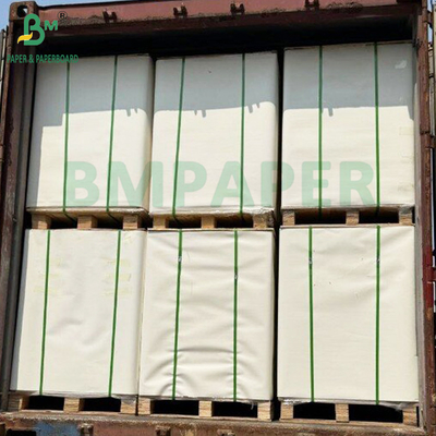 Uncoated White &amp; Colored Bristol Paper 160g 230g Offset Paper