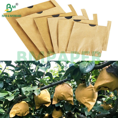 59gsm Sunscreen Tear Resistant Fruit Sleeve Paper Brown Top Black Back