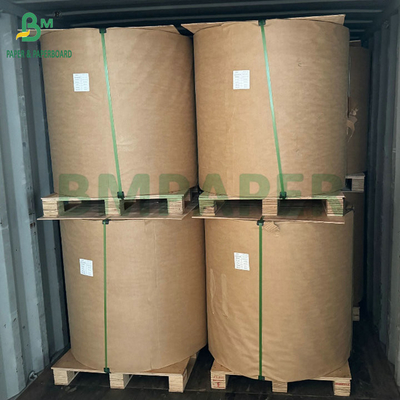 54g 56g Single Or Double Layer Mango Fruit Growing Protection Cover Bag Paper