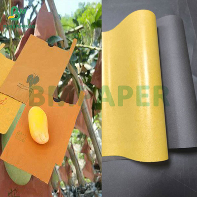 54g 56g Single Or Double Layer Mango Fruit Growing Protection Cover Bag Paper