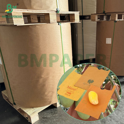 54g 56g Single Or Double Layer Mango Fruit Growing Protection Cover Bag Paper