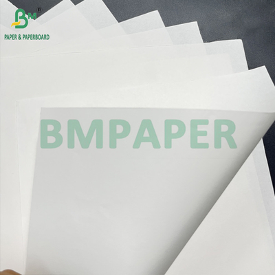 Smooth Food Grade 70 - 150 GSM White Bleached Kraft Paper Roll 15 Inch x 1000ft