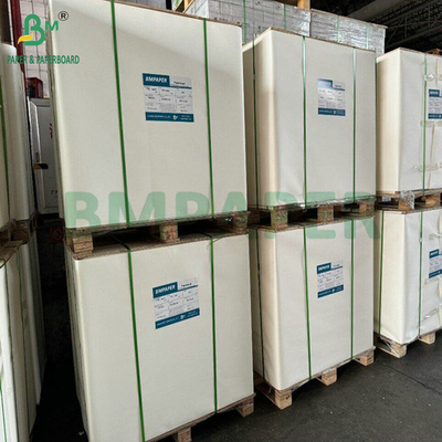 65Gram Coating Single Side Beer Bottle Label Paper For Printing 61cm 86cm large roll
