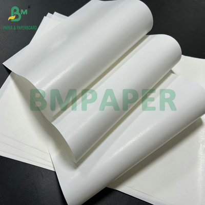 65Gram Coating Single Side Beer Bottle Label Paper For Printing 61cm 86cm large roll