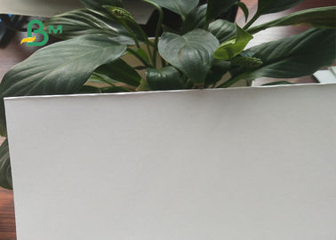 250-450gsm Grey Back Duplex Board 18~30% Ink Absorption For Tissue Box