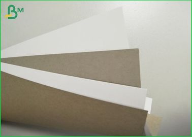 White Back Coated Duplex Carboard 250gsm In Stocklot With Smooth Surface