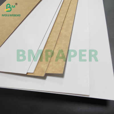 350gsm CKB White Surface Brown Kraft Back Paper For Salad Boxes 25'' x 38''