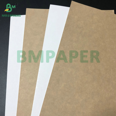 C1S Clay Coated 295gsm 325gsm White Top Kraft Back Cardboard For Food Box