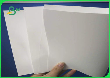 Durable Jumbo Roll Paper , 200um Moth And Insect Proof RB Board Paper