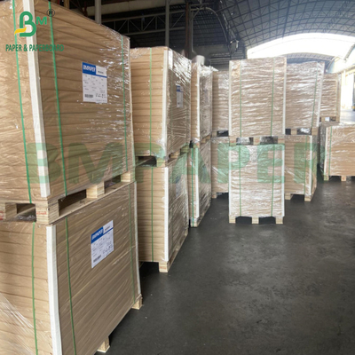 200g - 365g Clay Coated Recycled Paperboard CCKB Kraft Back For Carton Boxes