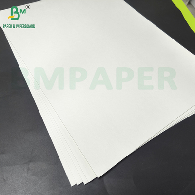 Two - Sided Bleached Woodpulp Board High Absorption Beermat Paper