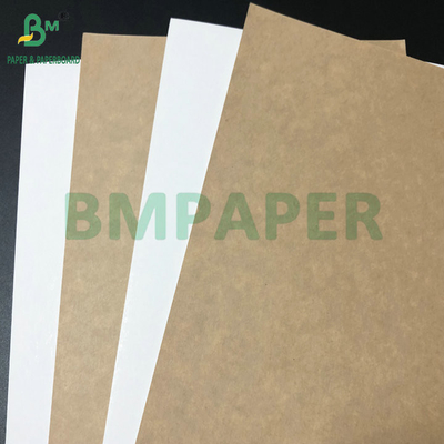 270gsm 300gsm White Clay Coated CCK Paperboard For Food Packaging Box