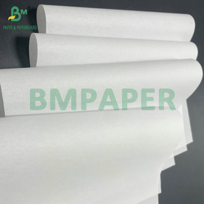 Roll 884mm 1017mm 40gsm Woodfree Paper For Leaflet and Booklet Printing