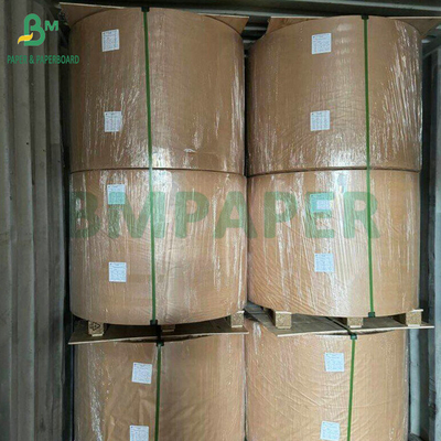 Roll 884mm 1017mm 40gsm Woodfree Paper For Leaflet and Booklet Printing