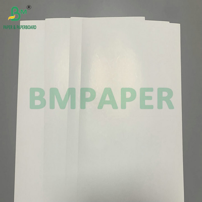300gsm 350gsm SBS Solid Bleach Sulphate For Making Folding Carton