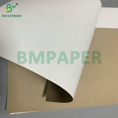 300gsm 350gsm SBS Solid Bleach Sulphate For Making Folding Carton