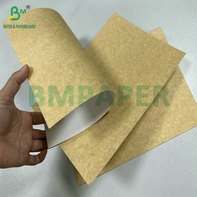 250gr 275gr One Side Coated Food Safety Carrier Board For Making Lunch Box 61 x 86cm