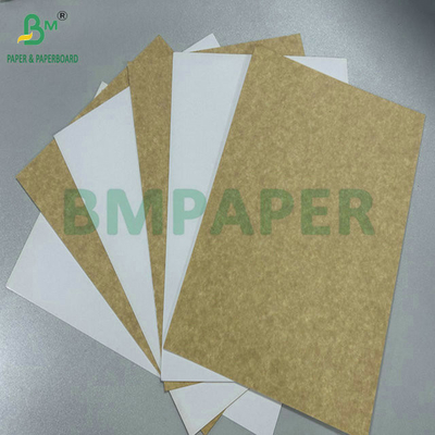 250gr 275gr One Side Coated Food Safety Carrier Board For Making Lunch Box 61 x 86cm