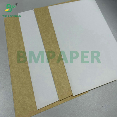 250gr 275gr One Side Coated Food Safety Carrier Board For Making Lunch Box 61 x 86cm