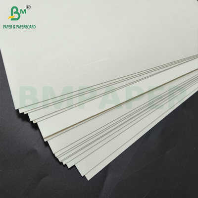 Oil And Grease Resistance Food Grade Paper Roll Coated With 1 Side PE Coating