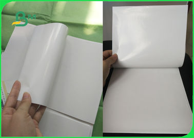 200gsm 250gsm High Brightness Coated Paper Board For Packing Box