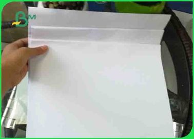 Eco Friendily Plain Glossy Coated Paper / Offset Printing Paper