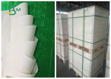 Recycled Degardable Jumbo Roll Paper 200um 250um Customized