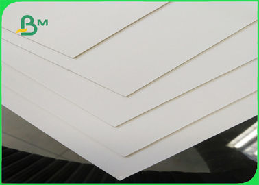 White Ivory Cardboard Paper Roll 300gsm C1S SBS Paperboard Coated Ivory Board