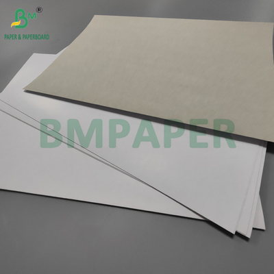 190gsm 200gsm Duplex Board Paper For Postcard Excellent Printing 18 x 24inch