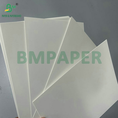 High Stiffness 300Gram 400Gram White Blister Packing Paper For Blister Package