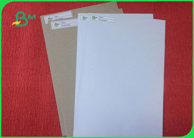 Grade A Offset Printing Paper 200 - 450g Coated Duplex Board In Roll