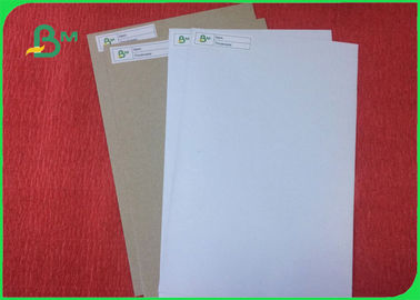 Grade A Offset Printing Paper 200 - 450g Coated Duplex Board In Roll