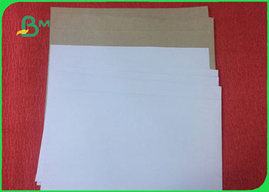 Grade A Offset Printing Paper 200 - 450g Coated Duplex Board In Roll