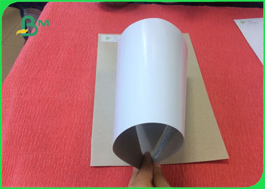 Wrapping Paper 300 GSM Coated Carton Duplex Board With Grey Back