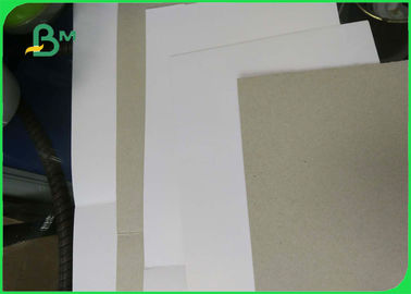 Clay Coated News Back Paper One Side Coated 250gsm Duplex Board Packaging