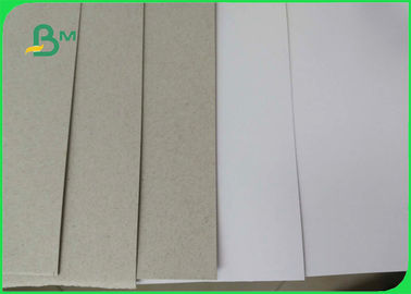 Clay Coated News Back Paper One Side Coated 250gsm Duplex Board Packaging