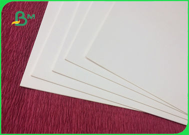 Grade A 500gsm C1S White Coated Ivory Board Paper High Smoothness