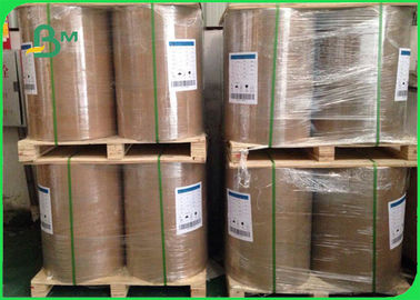 210 / 230 / 250 / 350gsm 100% Wood Pulp C1S Coated Paper In Reel