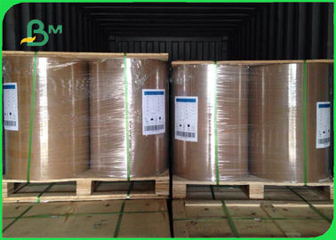 250gsm 300gsm 350gsm FBB Board / C1S Ivory Board For Packing Box