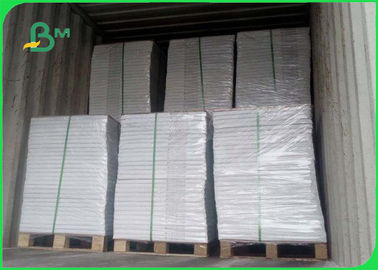 210gsm 250gsm 300gsm High density White SBB Paperboard For paper cup