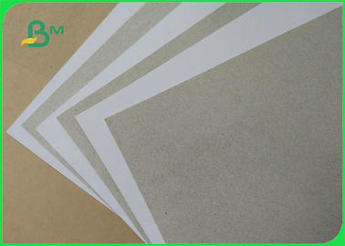 One Side Coated 250gsm Coated Duplex Board Grey Back for Packing Boxes