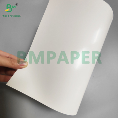 275g + 15g PE Coated Paperboard For Frozen Food Packaging Moisture Resistant