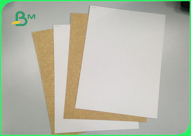 One Side Coated Surface Food Grade Paper Roll 100% Virgin Pulp Material