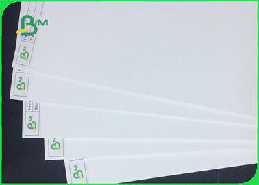 Single Coated Ivory Board Paper / Ivory Printing Paper C1S SBS Paperboard